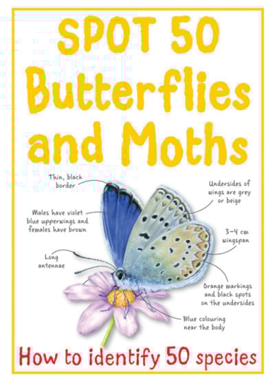[9781848104495] SPOT 50 BUTTERFLIES AND MOTHS