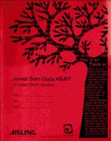 [5010642350499] Copy Sum Junior 20Mm 32 Pg Aisling Asj07